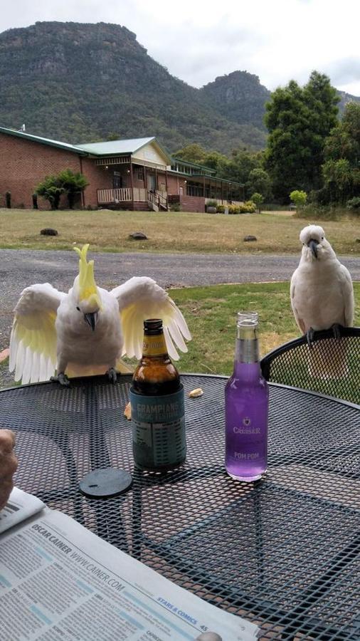 Halls Gap Valley Lodges Kültér fotó